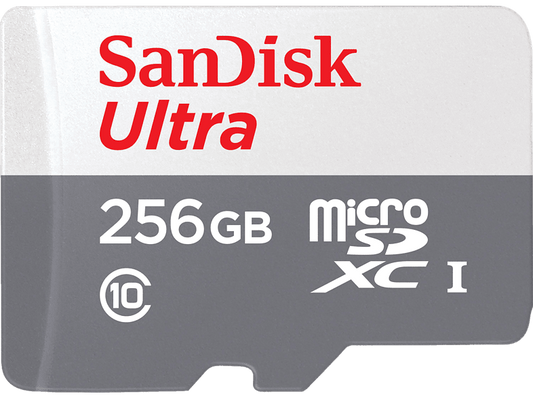 Carte Mémoire SanDisk Class 4 MicroSD SDHC (256 GB)